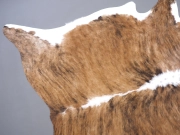 Шкура коровья натуральная тигровая арт.: 30348 - T659bfccc11d25865019995