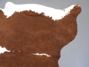 Натуральная шкура коровы коричнево-белая Герефорд арт.: 31347 - T698487dae2f64527306668