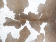 Натуральная шкура коровы серо-бежевая арт.: 31296 - T690db006bd4af381873104