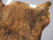 Шкура коровья натуральная тигровая с белым животом арт.: 24643 - T652d48113e184867351663