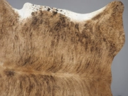 Ковер шкура коровы натуральная экзотическая тигровая арт.: 29393 - T652e43b757e1c327623803