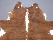 Шкура коровы натуральная тигровая арт.: 31327 - T6978c3500718e994186017