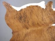 Шкура коровья на пол тигровая с белым животом арт.: 30388 - T65e1c532018c8586767873