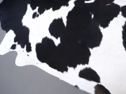 Шкура коровы черно-белая натуральная арт.: 30400 - T65eaf72383235733203849