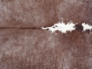 Натуральная шкура коровы коричнево-белая Герефорд арт.: 31357 - T698de2ac3be3e180437680