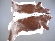 Шкура коровы натуральная соль и перец арт.: 31381 - T69cfb4551f3f8513603908