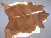 Шкура коровы натуральная тигровая арт.: 31327 - T6978c348e22cf351875996