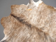 Шкура коровы натуральная тигровая арт.: 31310 - T694166b15f335111788615