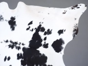 Шкура коровы черно-белая натуральная арт.: 30330 - T655f48640aafe574902266