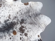 Шкура коровы натуральная соль и перец арт.: 31302 - T691dbfaa7b02e706648497