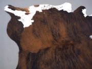 Ковер шкура коровы на пол натуральная арт.: 30405 - T65f2d3e0e0e5b423011783