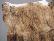 Шкура коровы натуральная тигровая арт.: 25292 - T652d1108f2af8364041764