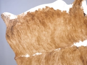 Натуральная шкура коровы тигровая с белым животом арт.: 29433 - T652d4c02628ed644056108