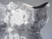 Шкура коровы натуральная соль и перец арт.: 31359 - T698f18fe7a452365923056