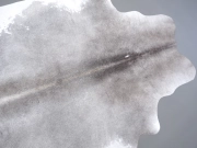 Шкура коровы натуральная серая арт.: 31335 - T69808bc1dded4688542548