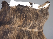 Шкура коровы натуральная тигровая арт.: 30402 - T65ec2bf79e53e511700276