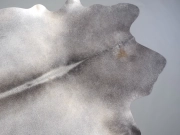 Шкура коровы натуральная серая арт.: 31364 - T69985d43a67f5516920232