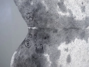 Шкура коровы натуральная соль и перец арт.: 31359 - T698f18fd03fd9643171410