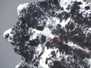 Натуральная шкура коровы черно-белая красноватая арт.: 31299 - T691da8360e785745435932