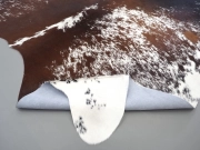 Натуральная шкура коровы черно-белая красноватая арт.: 31371 - T69ca447a6cae4604435701