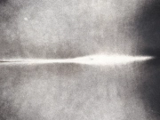 Шкура коровы натуральная серая арт.: 31366 - T699d9a388638f637917894