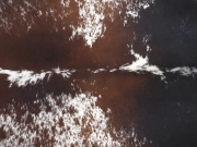 Натуральная шкура коровы черно-белая красноватая арт.: 31371 - T69ca4475a136b477439141