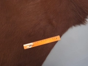 Натуральная шкура коровы коричнево-белая Герефорд арт.: 31342 - T698204740389e143889483