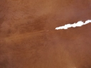 Натуральная шкура коровы коричнево-белая Герефорд арт.: 31436 - T6a142a2ea29cd742910410