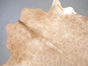 Шкура коровы ковер натуральная бежевая арт.: 31391 - T69d6464825cbb633998423