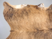 Шкура коровы натуральная тигровая арт.: 31378 - T69cf774e35bc5687882983