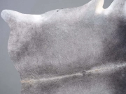 Шкура коровы натуральная серая арт.: 30274 - T6523fbc4d22a6915132011