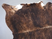 Шкура коровы натуральная тигровая арт.: 31343 - T698206c251bbe071327453