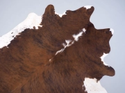 Шкура коровы натуральная тигровая арт.: 31259 - T68c29499456d7921014391