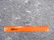 Натуральная шкура коровы серо-бежевая маленькая арт.: 31317 - T6968d38e167b5590330024