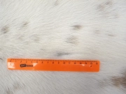 Коровья шкура натуральная альпийская арт.: 31314 - T694beff9d3a23076232783