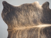 Шкура коровы натуральная тигровая арт.: 31374 - T69ce1782cfde6968703953