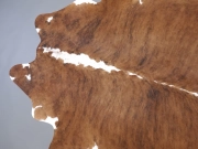 Шкура коровы натуральная тигровая арт.: 31327 - T6978c33b20040537947353