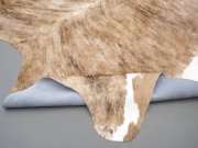 Шкура коровы натуральная тигровая светлая арт.: 31402 - T69e2204cb6920172633550