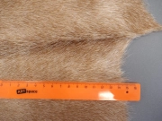 Шкура коровы ковер натуральная бежевая арт.: 31391 - T69d64647748fb633414565