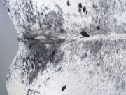 Шкура коровы натуральная соль и перец арт.: 31351 - T698b3ba5c8f25138089773