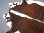 Шкура коровы натуральная тигровая арт.: 31325 - T69723418dd6b3807815166