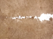 Натуральная коровья шкура – ковер бежево-белая арт.: 31306 - T693805bdd387d023663019