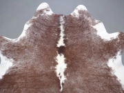 Натуральная шкура коровы коричнево-белая Герефорд арт.: 31357 - T698de2a9160cc993850146