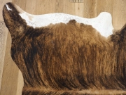 Коровья шкура натуральная с белым животом и холкой арт.: 26308 - T652d07ec13795569029500