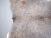 Шкура коровы маленького размера серая арт.: 31318 - T6968f1aea1437029972220