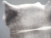 Шкура коровы натуральная серая арт.: 31366 - T699d9a3ad3803796050333