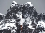 Натуральная шкура коровы черно-белая красноватая арт.: 31299 - T691da835c63c8124801578