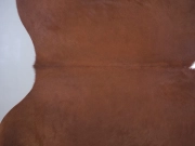 Натуральная шкура коровы коричнево-белая Герефорд арт.: 31339 - T698093f25f5f1133816223