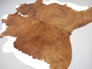 Шкура коровы натуральная тигровая арт.: 31321 - T6970c317a8a3e330562194