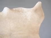 Шкура коровы натуральная бежево-белая арт.: 31319 - T696a214c22cb6108572983